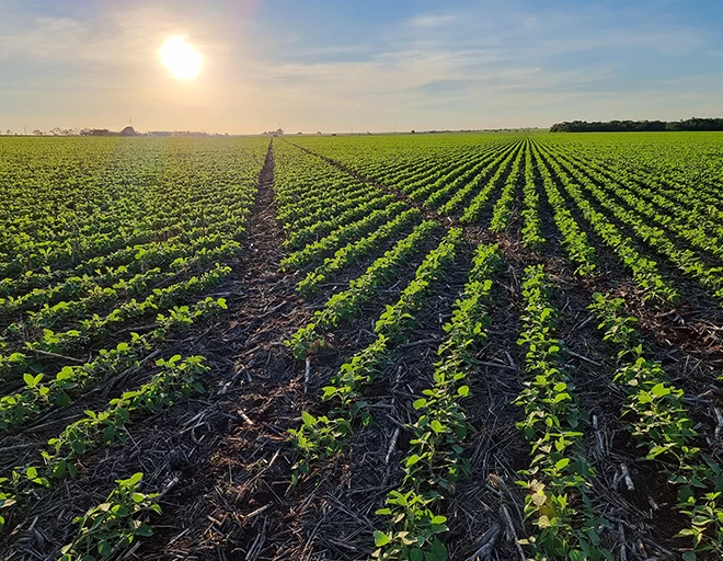 Zero Crop Damage